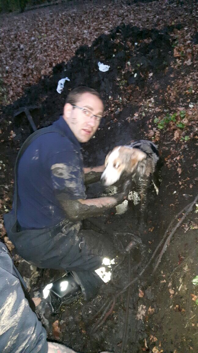 FW-AR: Echte Ausdauer - Feuerwehr Arnsberg befreit Hund aus Schlamm-Rohr