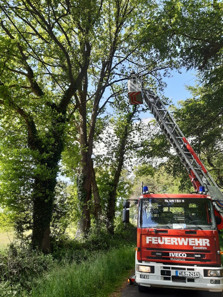 FW-Schermbeck: Ast drohte auf Fahrbahn zu fallen