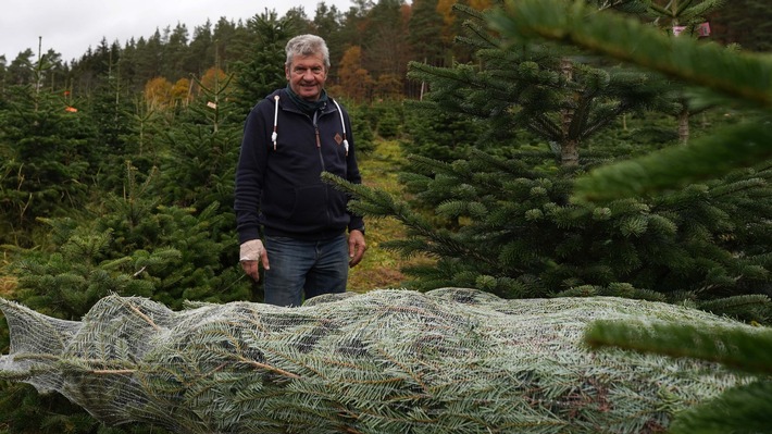 &quot;plan b&quot; im ZDF: Weihnachten nachhaltig ohne Plastik und Gift