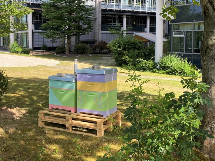 Das große Summen: Zwei Bienenvölker für Coface