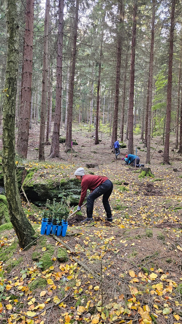 Fast 20 Freiwillige mit dem Bergwaldprojekt in der Nationalparkregion Sächsische Schweiz im Einsatz für naturnahe Wälder
