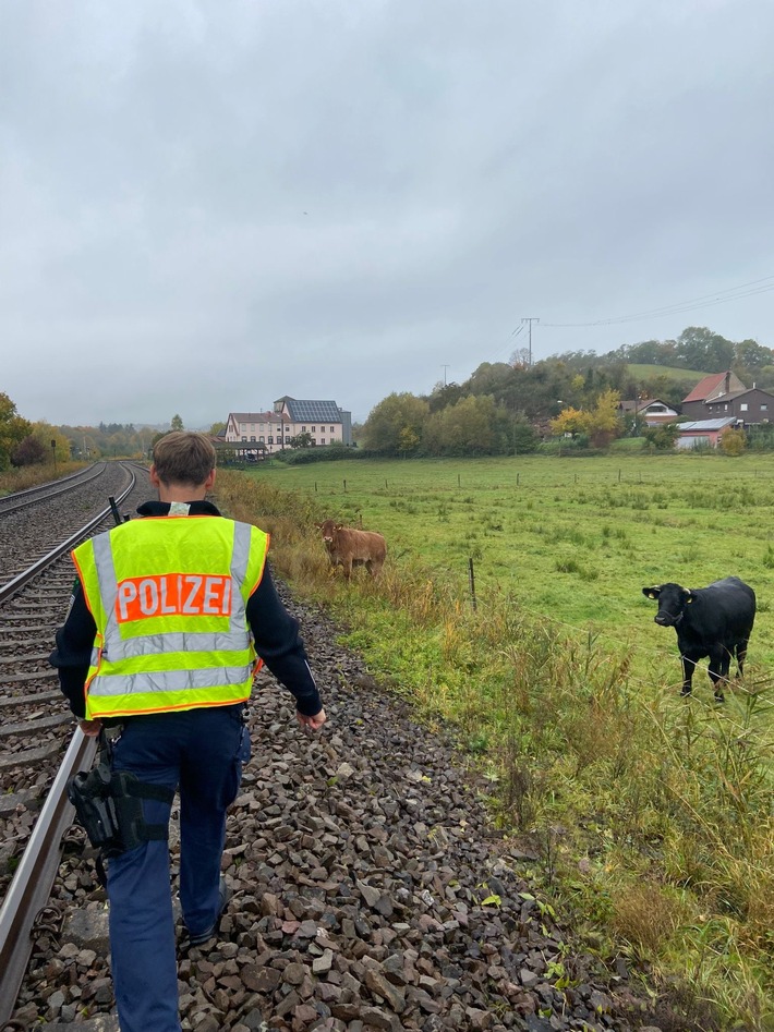 BPOL-KL: Bundespolizei treibt Kuh aus dem Gleis