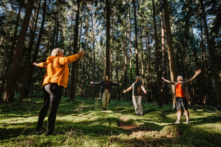 Gesundheit wächst im Wald / Warum Kur- und Heilwälder in Ostbayern zu modernen Therapieräumen werden