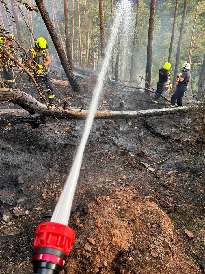 FW Nideggen: Ausgedehnter Waldbrand im Nationalpark bei Schmidt