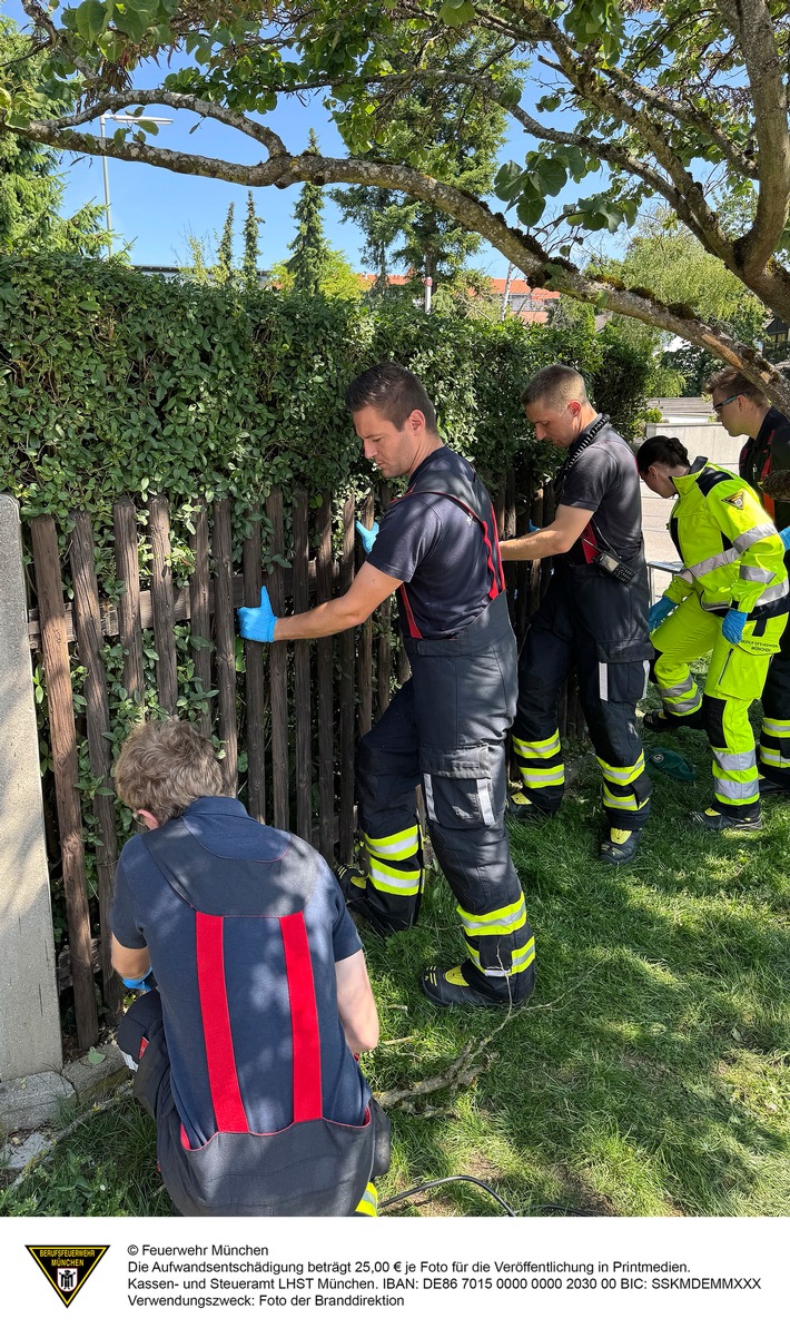 FW-M: Älterer Herr zwischen Hecke und Gartenzaun eingeklemmt (Pasing)