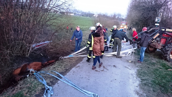 FW-DO: 08.02.2018 - Tierrettung in Grevel
Pferd aus Graben befreit