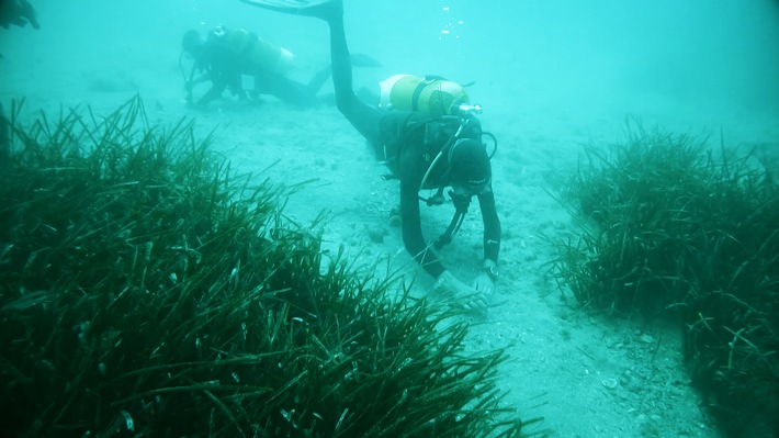 3sat: "WissenHoch2" über Hitzestress im Mittelmeer und Wege, die Zukunft zu gestalten /