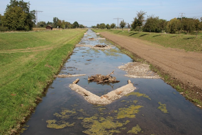 Presse-Information: Projekt zur Renaturierung der Dreisam gewinnt beim Naturschutzwettbewerb „Unsere Heimat & Natur“