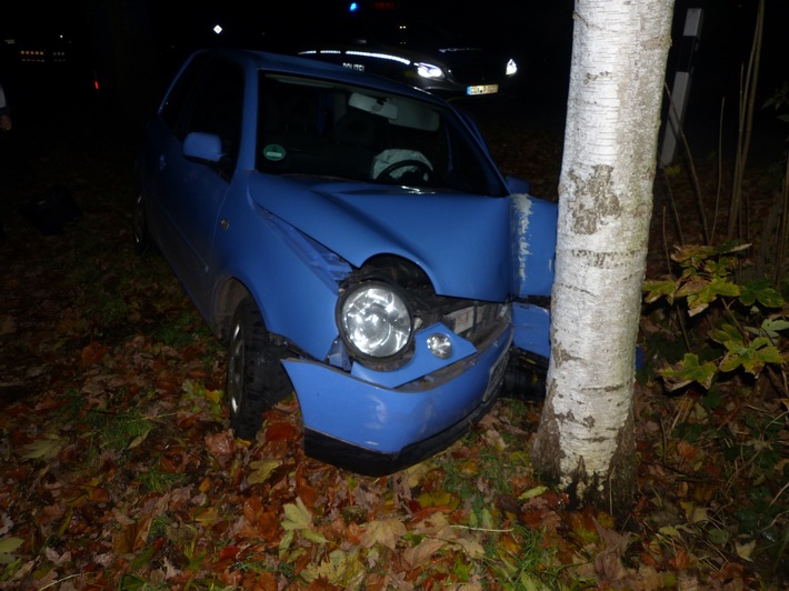 POL-CUX: Ausweichmanöver endet an einem Straßenbaum (Lichtbild in der Anlage)