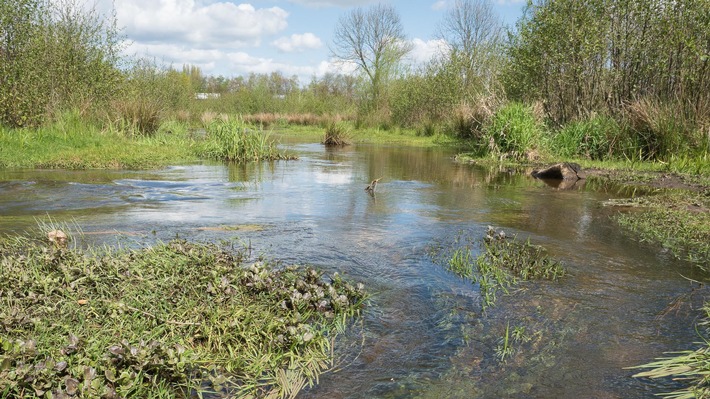 Diagnosewerkzeug zur Gewässerqualität entwickelt: Der Flussdoktor