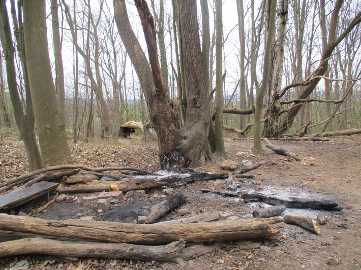 POL-HI: Unbekannte entzünden Holzstapel/ Zeugenaufruf