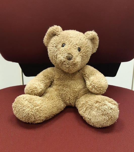 BPOL-FL: NMS - Bundespolizisten finden Teddy am Bahnhof