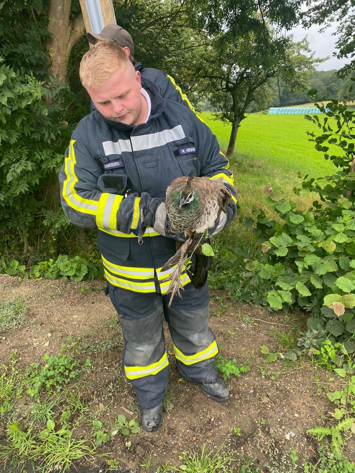 FW-EN: Feuerwehr Hattingen hat breites Einsatzspektrum abgearbeitet