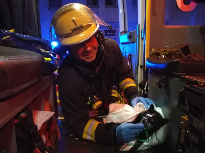 FW-D: Dachgeschosswohnung in Unterbilk ausgebrannt - Feuerwehr rettet und versorgt verletzte Katze aus den Flammen