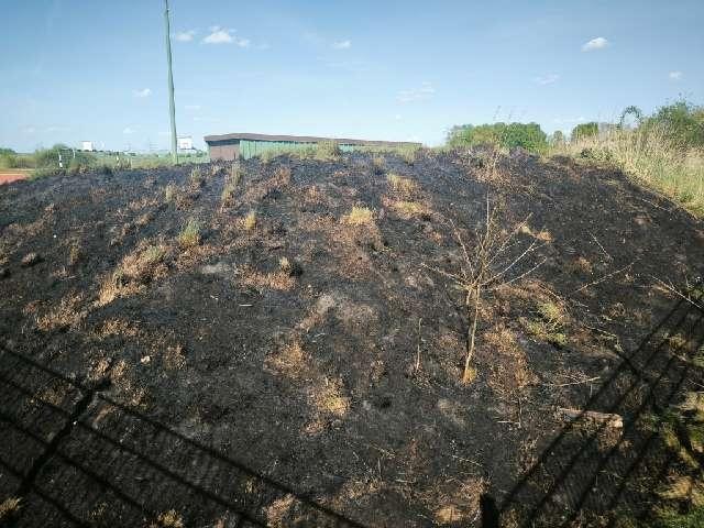 POL-ROW: Flächenbrand durch Böller