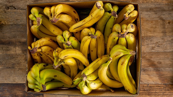 Neue ZDF-Reportage: "Bananen – Genuss mit Beigeschmack"