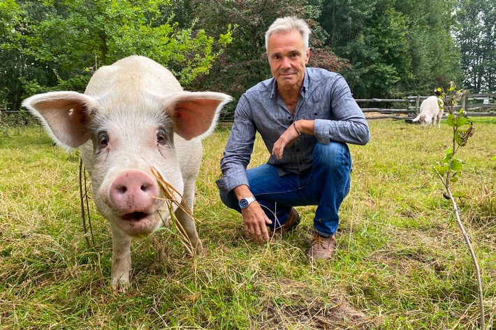 Neue ZDF-Doku: Hannes Jaenicke im Einsatz für das Schwein