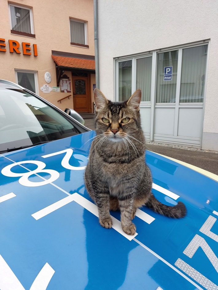 POL-UL: (BC)(GP)(HDH)(UL) Region - Kolleginnen und Kollegen gesucht / Bewerbungsfrist bei der Polizei bis 31. Oktober 2022 verlängert.