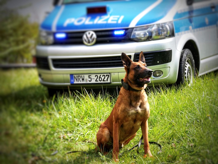 POL-HA: Mann greift Diensthundführer und Polizeihund Ragnar an