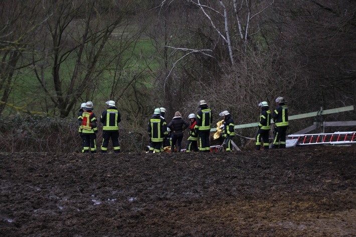 FW-BN: Tierrettung in Bonn-Lengsdorf, Pferd stürzt Abhang hinunter