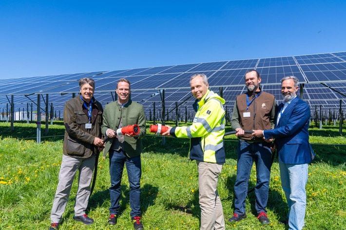 Energiewende bei Nestlé in Biessenhofen: mit neu eröffneter Agri-Photovoltaic-Anlage auf der Kuhweide und Wärmepumpen in die Zukunft
