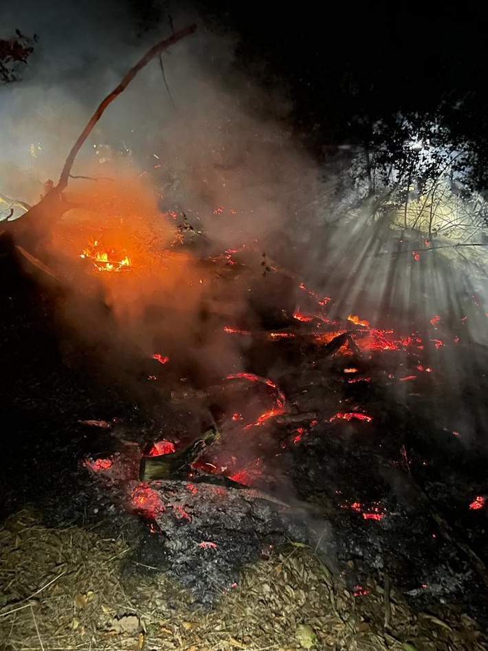 FW-EN: Wetter - Waldbrand und Unterstützung Rettungsdienst