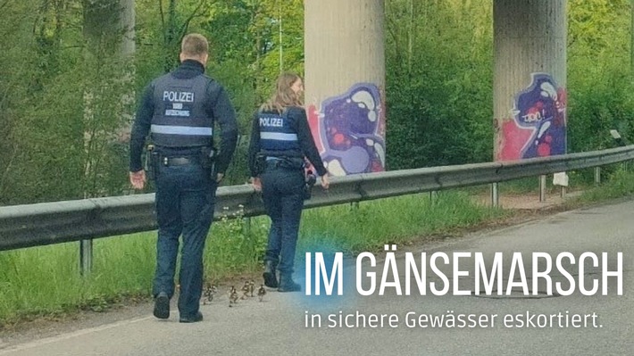 POL-PIZW: Polizei-Eskorte für Gänse-Familie