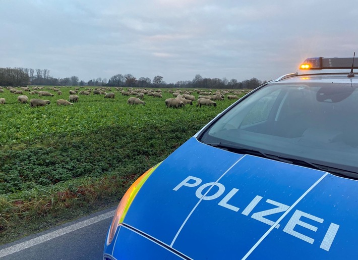 POL-SO: Erwitte-Weckinghausen - Polizei ein abwechslungsreicher Beruf