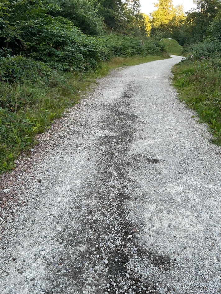 POL-GÖ: (276/2025) Ölverschmutzung auf Waldweg im Kuckanstal bei Bad Sachsa - Polizei sucht Zeugen