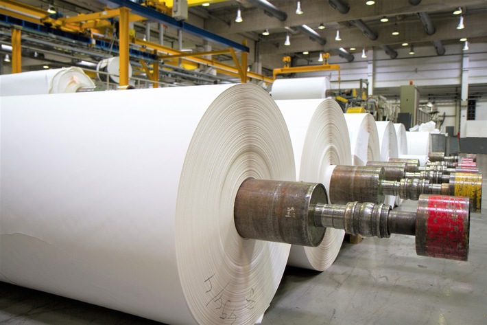Papierproduktion leicht rückläufig - Sorten entwickeln sich unterschiedlich (FOTO)