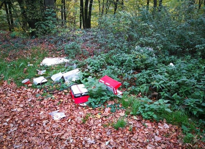 POL-SI: Umweltdelikt: Mehrere Kubikmeter Müll illegal entsorgt