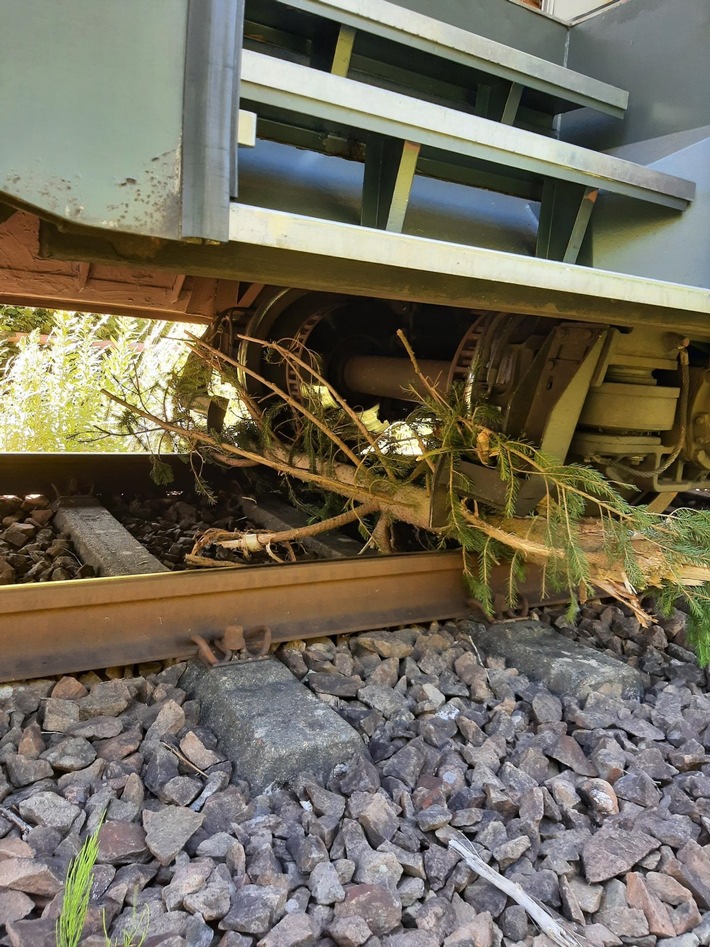 BPOL-KL: Zug kollidiert mit umgestürztem Baum