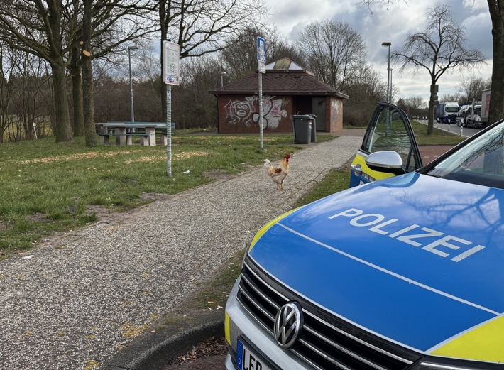 POL-LER: Pressemitteilung der Polizeiinspektion Leer/Emden vom 16.03.2025