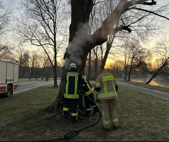 LPI-NDH: Unbekannte entzünden Baum in Sondershäuser Schlosspark - Zeugen gesucht