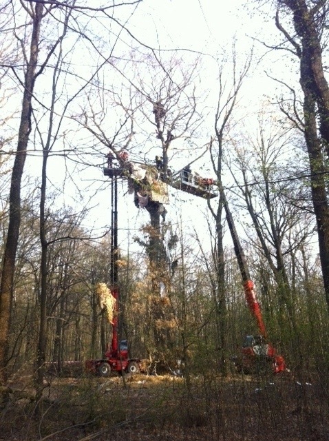 POL-REK: Abschlussmeldung zur Räumung im Hambacher Forst - Kerpen