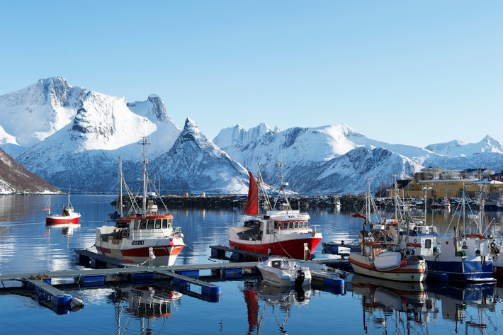 Seafood from Norway_Fischerboote_Norwegen.jpg