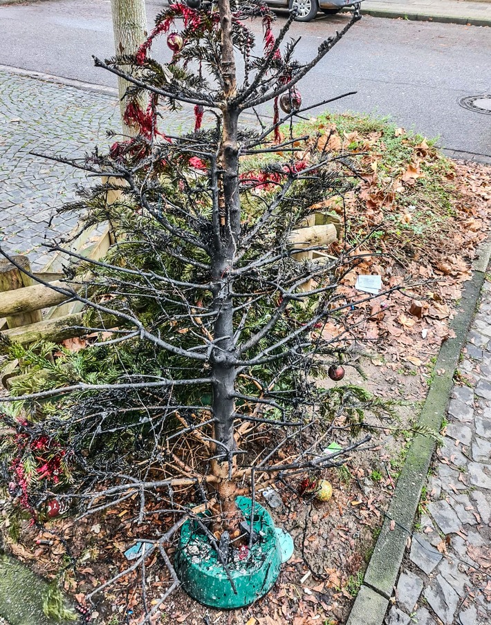 FW-E: Weihnachtsbaum geht in Flammen auf - Mutter und fünf Kinder leicht verletzt