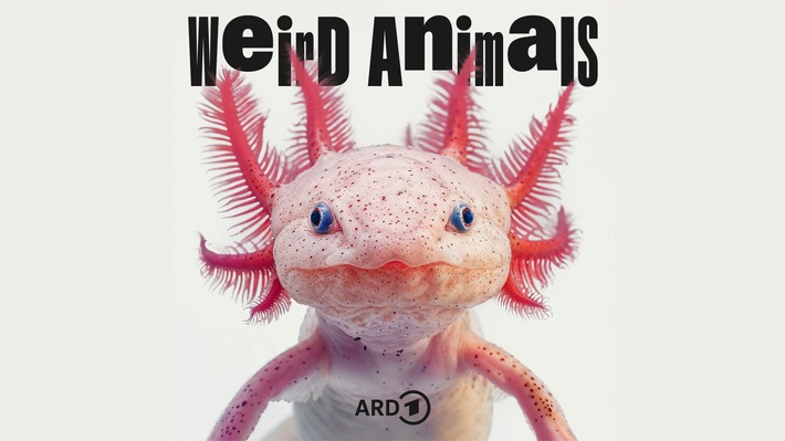 "Weird Animals": neuer Podcast über die Komik der Tierwelt in der ARD Audiothek