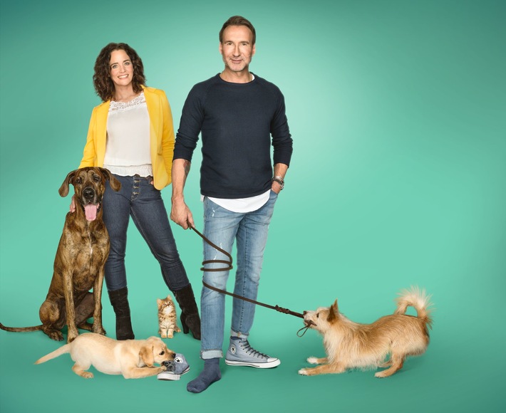 Vom Wirbelwind zum Musterwelpen: Neue Doku-Reihe "Kleine Hunde - Großes Chaos" mit den Hundetrainern Kate Kitchenham und Jochen Bendel ab 29. August 2019