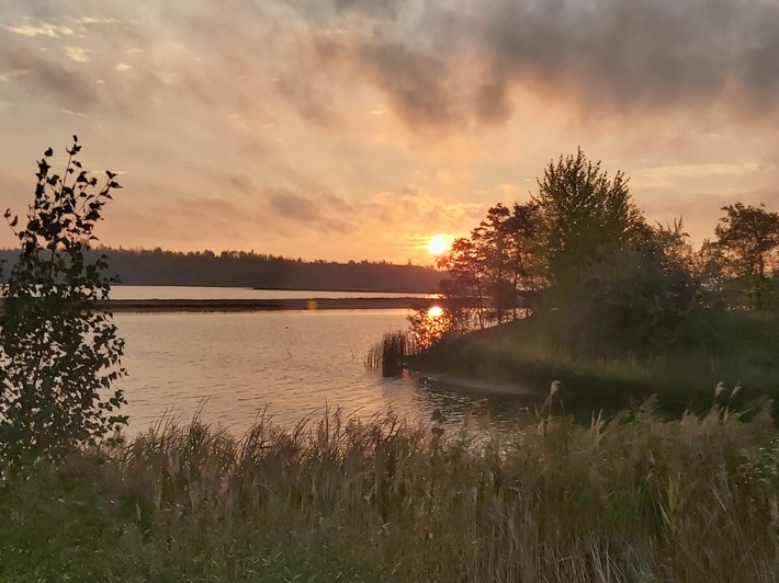 Junges Naturparadies: Der Geiseltalsee ist „Lebendiger See des Jahres 2023“