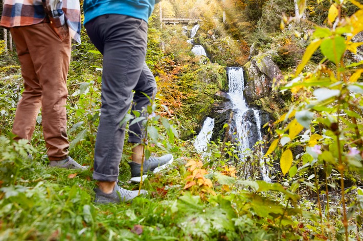 Vor dem Start in die Ferien: FSME-Impfschutz prüfen / Zeckenaktivität auch im Herbst!