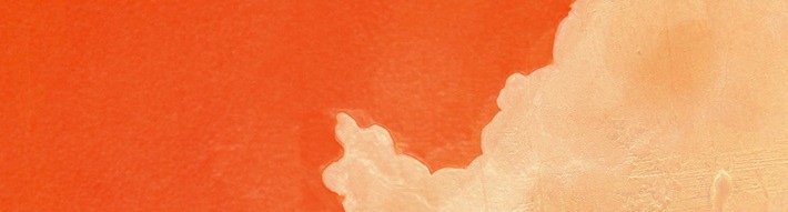 Trauer und Stadttauben - ein Buchtipp