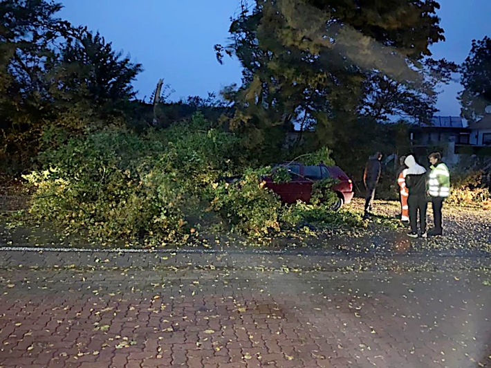 POL-HM: Sturmtief Mortimer: Baum stürzt vor fahrendes Auto
