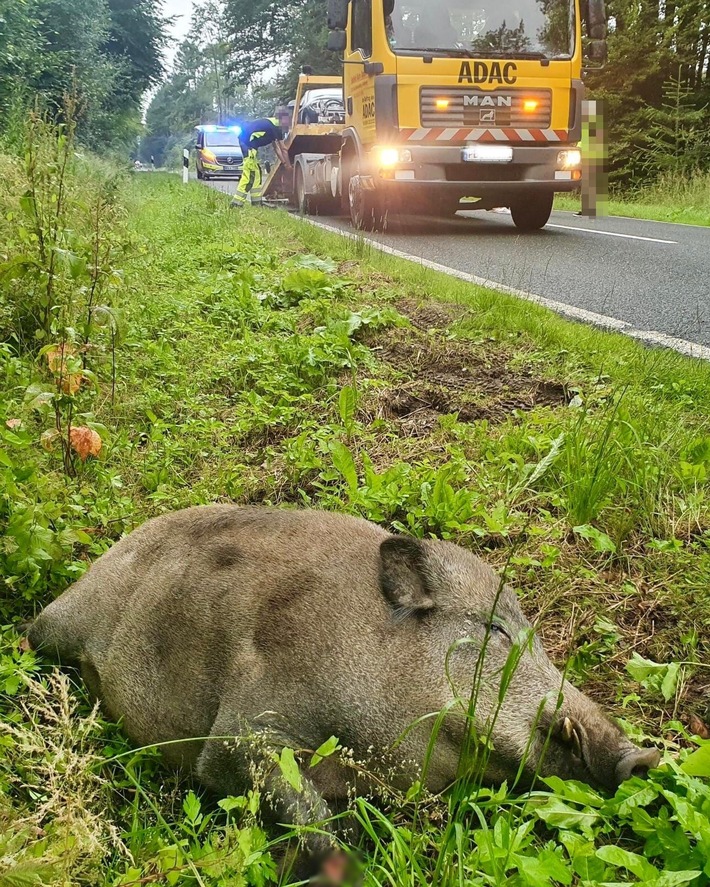 POL-PB: Autofahrer bei Wildunfall verletzt