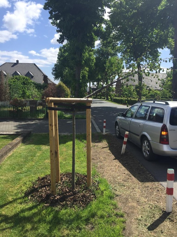 POL-KLE: Kranenburg - Neu gepflanzter Straßenbaum abgeknickt / Gemeinde setzt Belohnung aus
