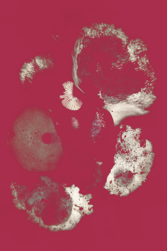 Gärten werden zur Galerie: 21 Schweizer Hotels lancieren Art Garten Hotels