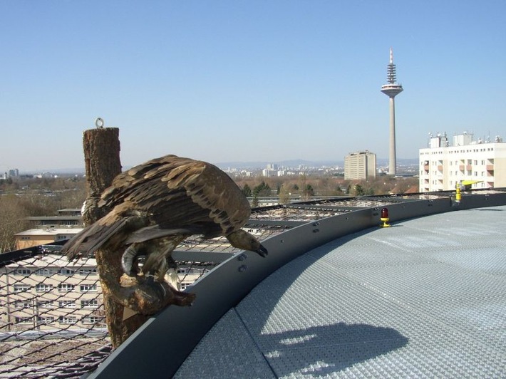 POL-F: 040331  0365 Frankfurt Stadtgebiet: Polizei geht neue Wege beim Aufspüren von Luftverschmutzern