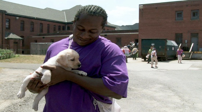 &quot;Prison Dogs&quot;: ZDFinfo-Doku über Assistenzhunde hinter Gittern