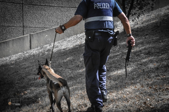 POL-PPWP: Polizeihund findet Drogen