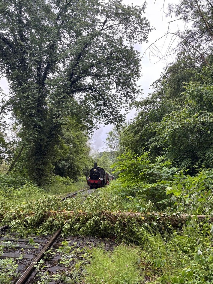 FW-EN: Umgestürzter Baum stoppt Museumszug - Feuerwehr Hattingen im Einsatz